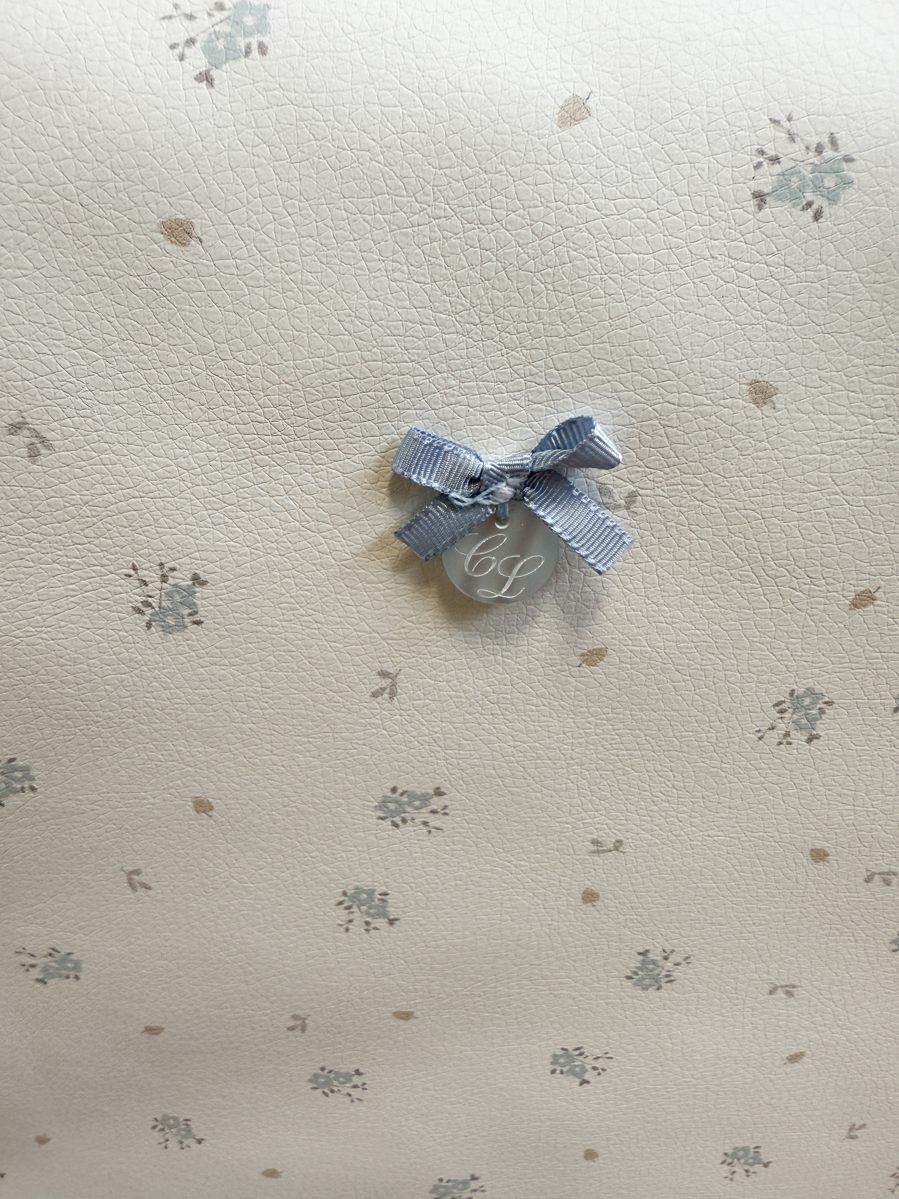 Travel Bag Clea