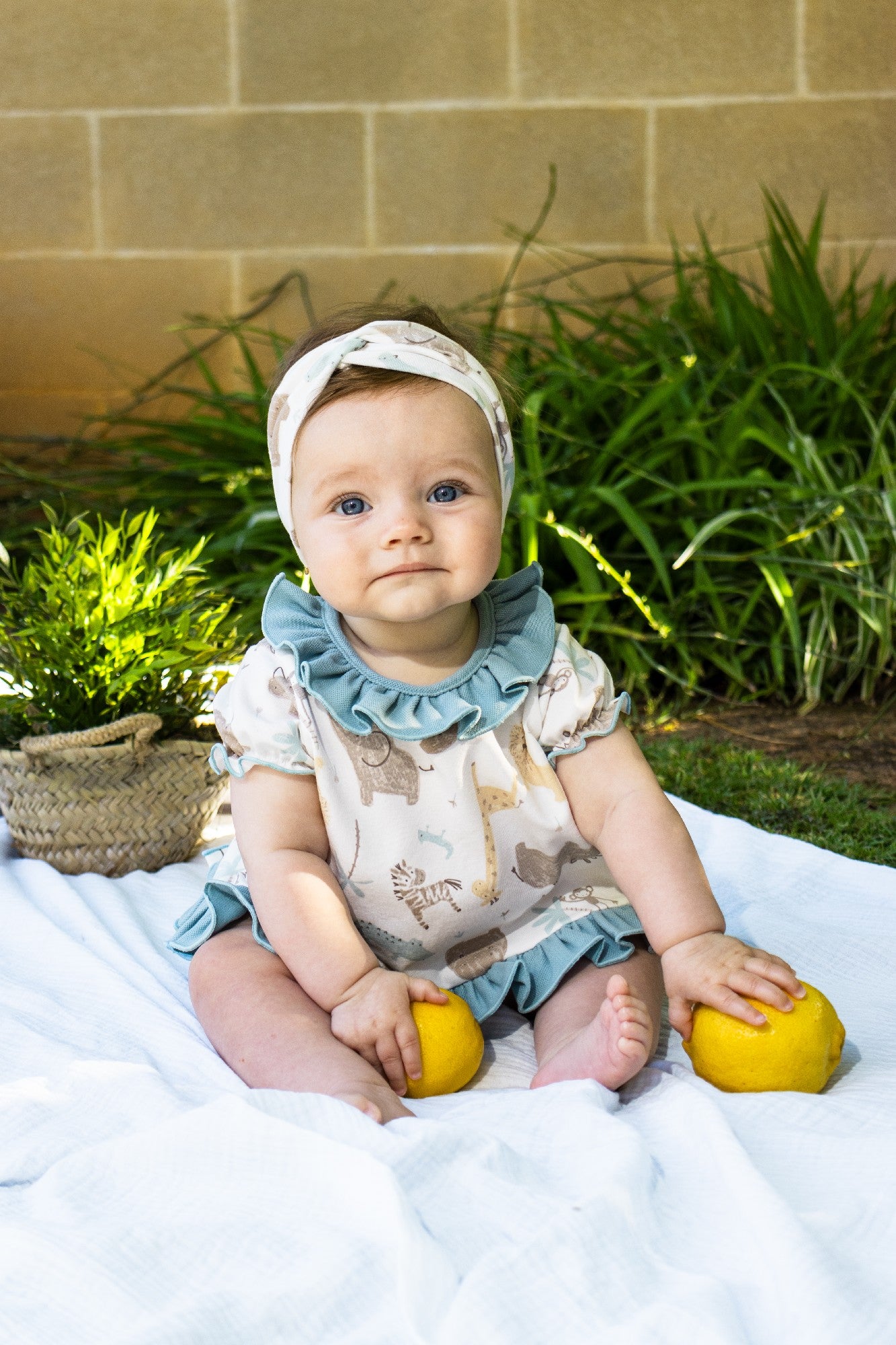 Bloomer Set Java