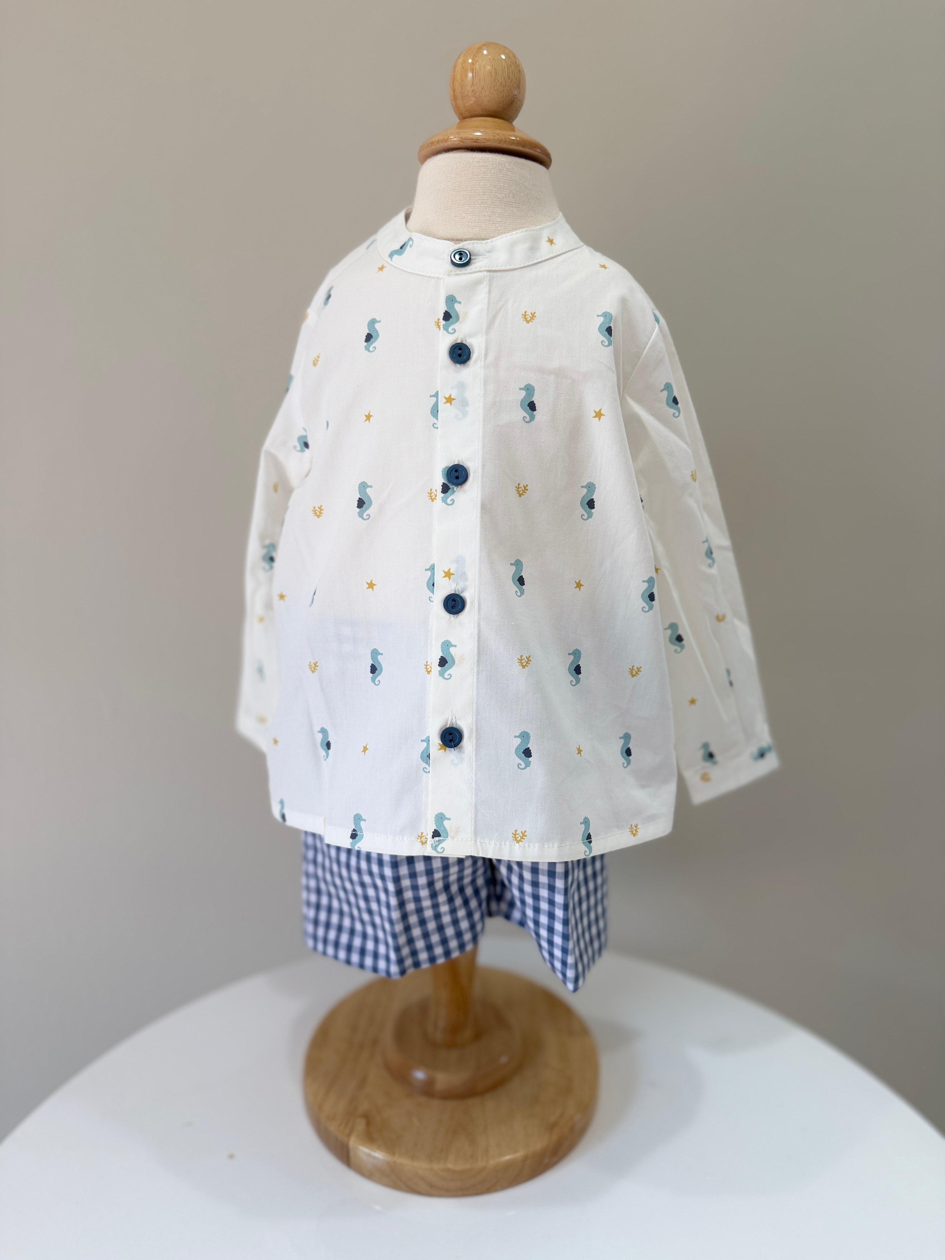 Boy Set Seahorse