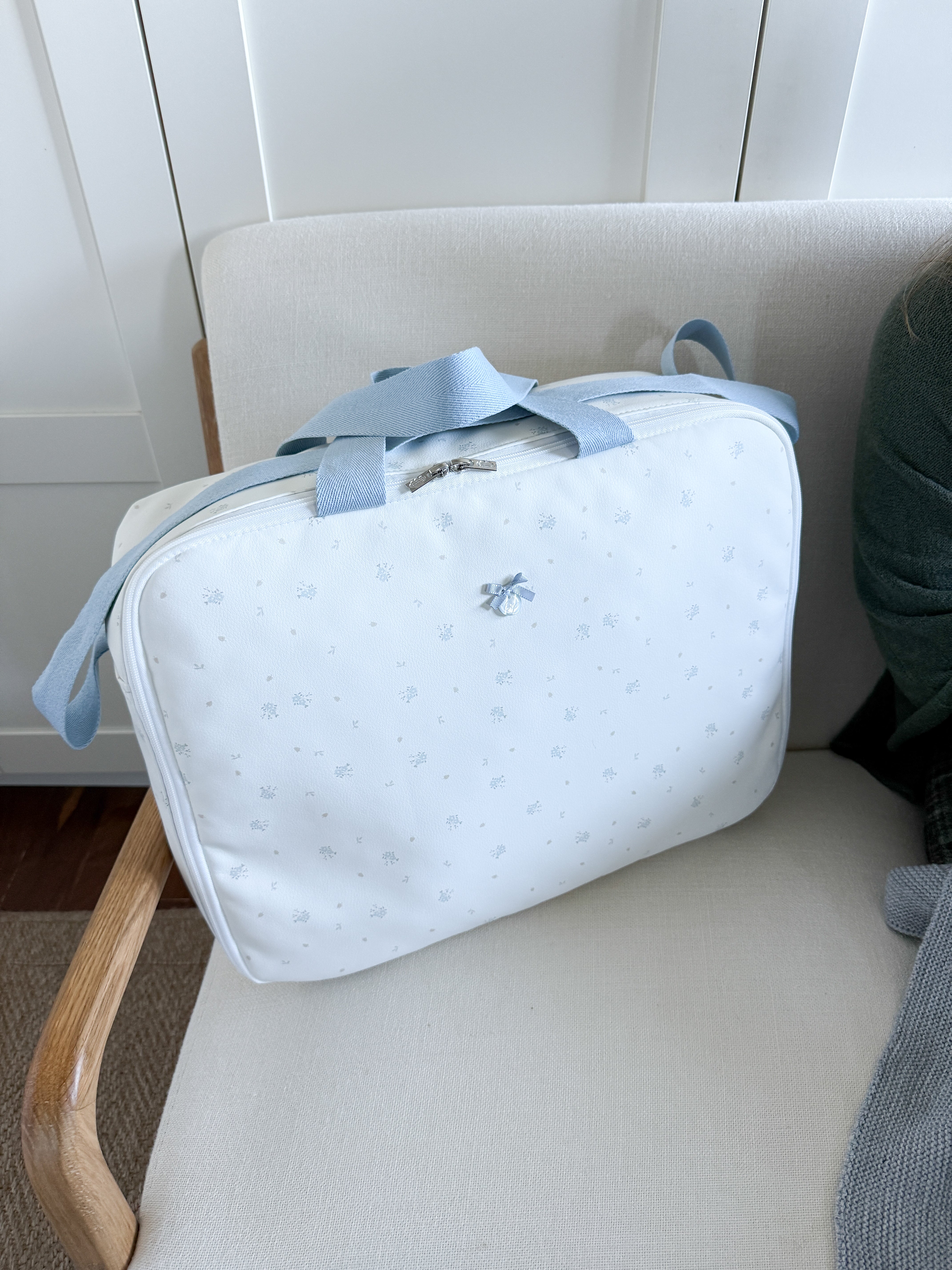 Travel Bag Clea