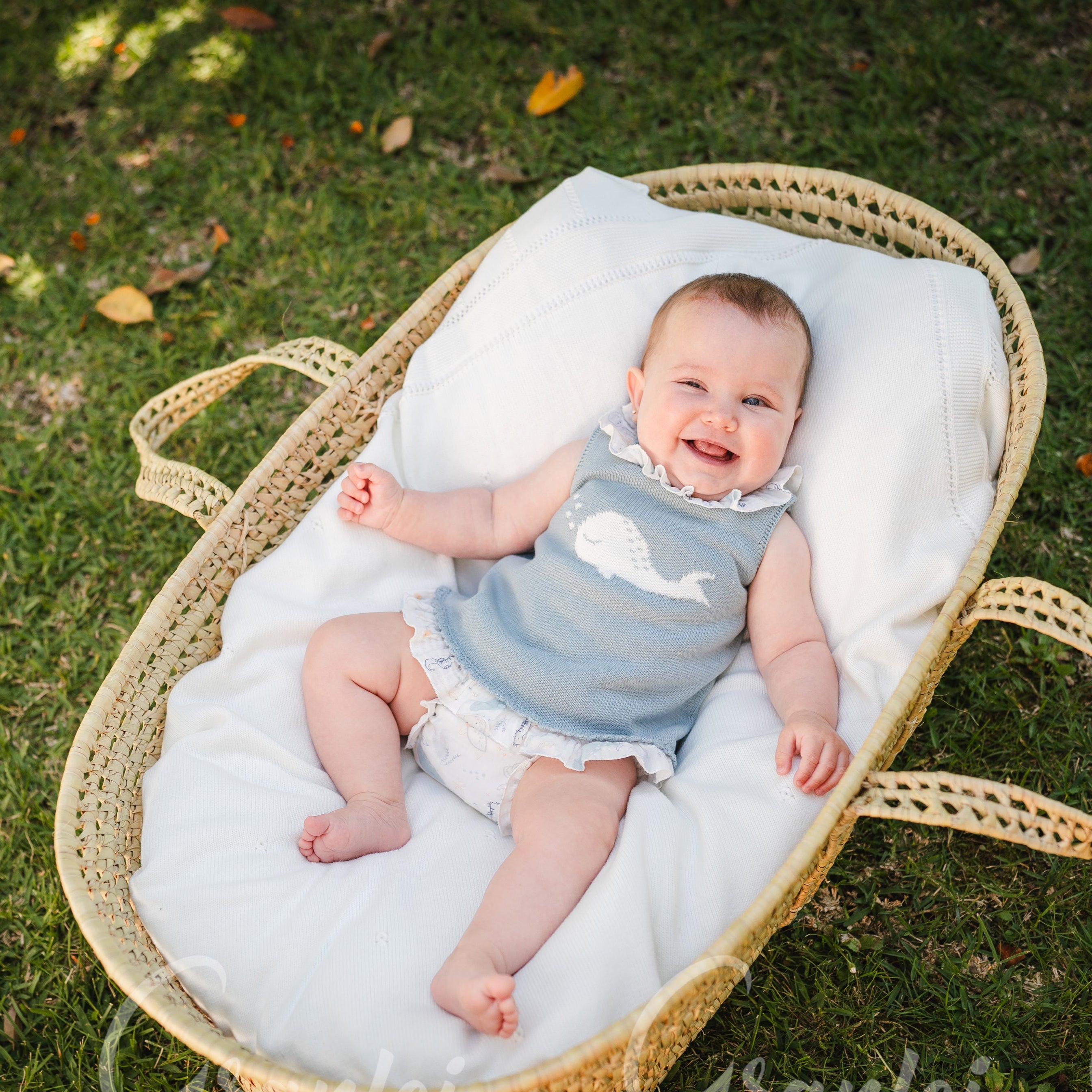 Bloomer Set Beluga- 3pc